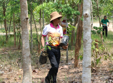 สหกรณ์จังหวัดบึงกาฬ พร้อมด้วยสหกรณ์การเกษตรเมืองบึงกาฬ ... พารามิเตอร์รูปภาพ 11